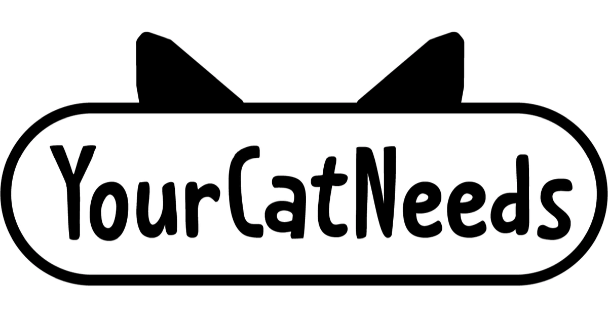 Drive Safe Your Cat Needs You  UVDTF Decal – Hey There Crafty LLC