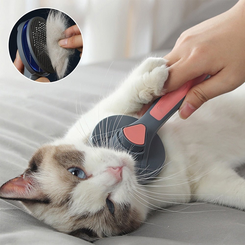 Effortlessly Clean Your Cat's Fur with a Self Cleaning Brush YourCatNeeds