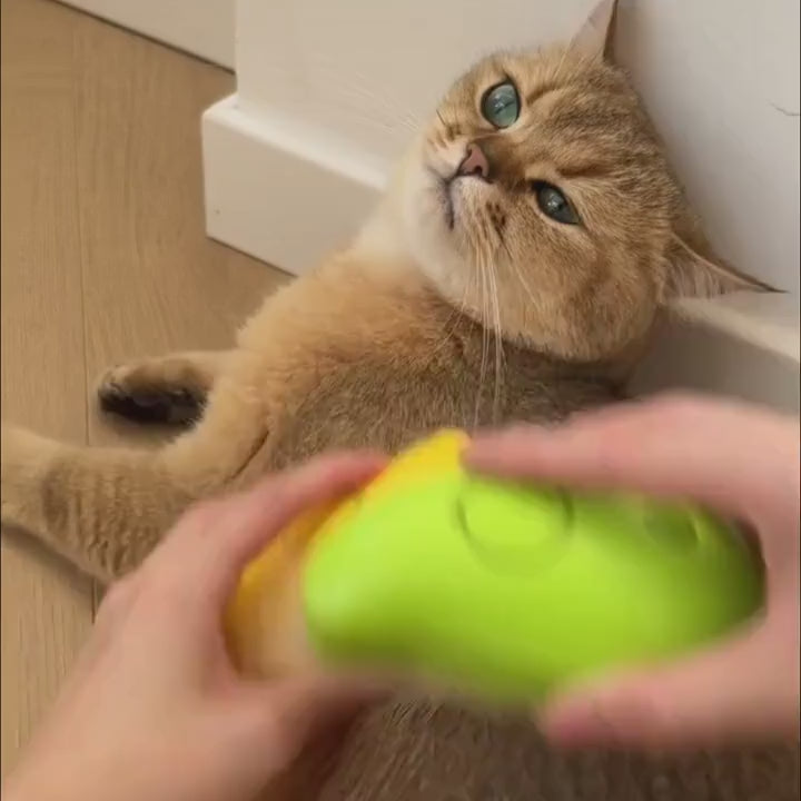 Cat & Dog verzorgingskam met elektrische spuitwaterspray zachte siliconen depilatieborstel kitten kitten badborstelborstel verzorgingspannen