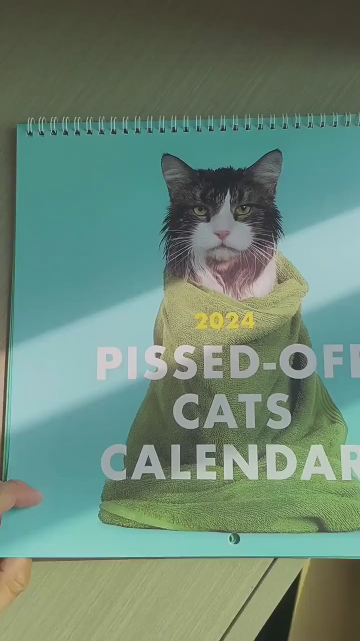 2024 kalendarz Angry Cat Fun Wall Art Kalendarz wkurzony koty domowy planista i codzienny organizator comiesięczny kalendarz kalendarz