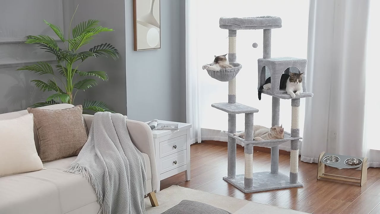 Jouet d'arbre à chat avec échelle et griffoir en bois