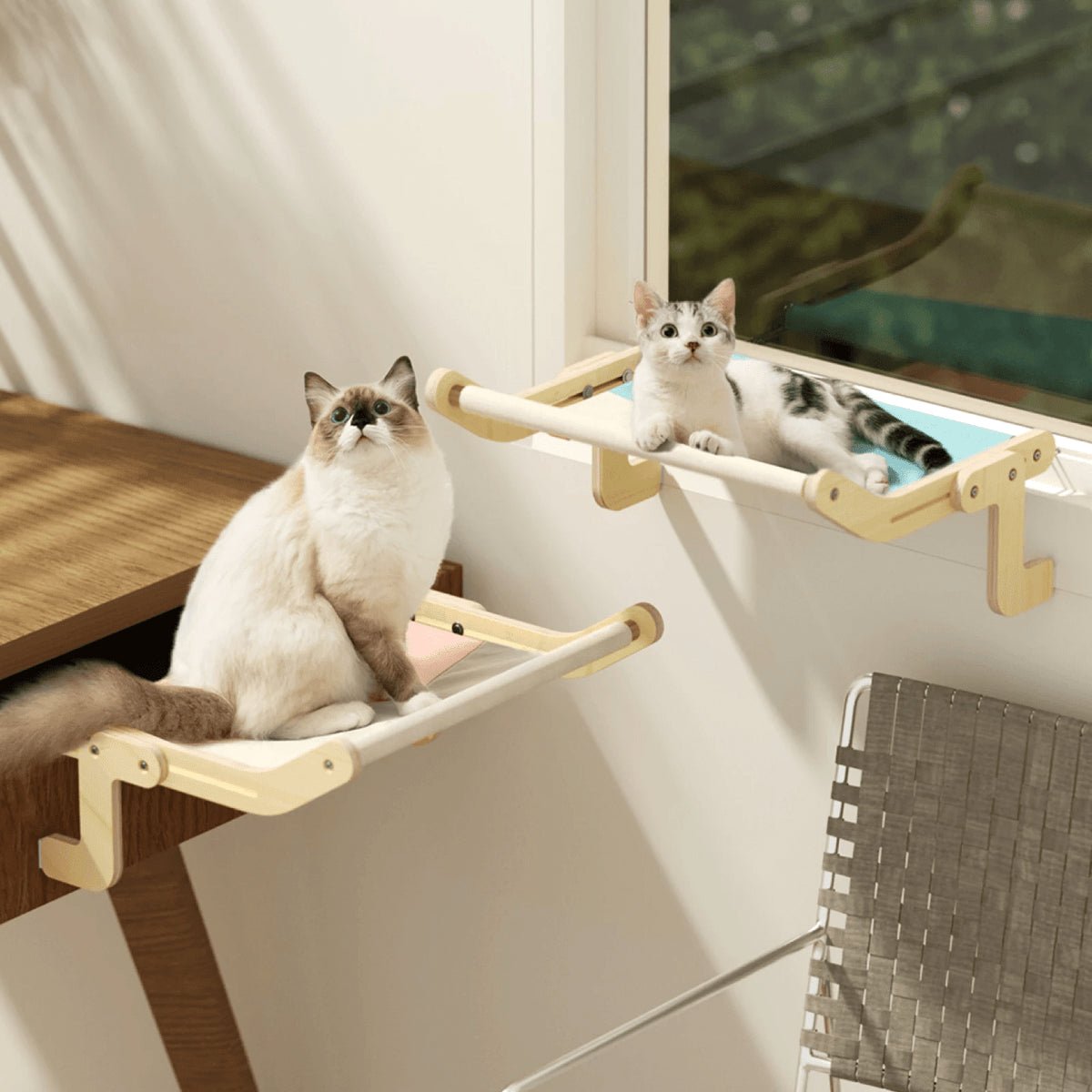 Adjustable Cat Hammock and Cat Bed - YourCatNeeds