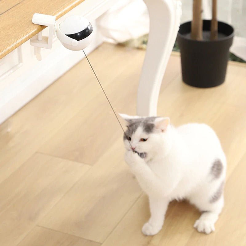 Automatic Ball Toy - YourCatNeeds