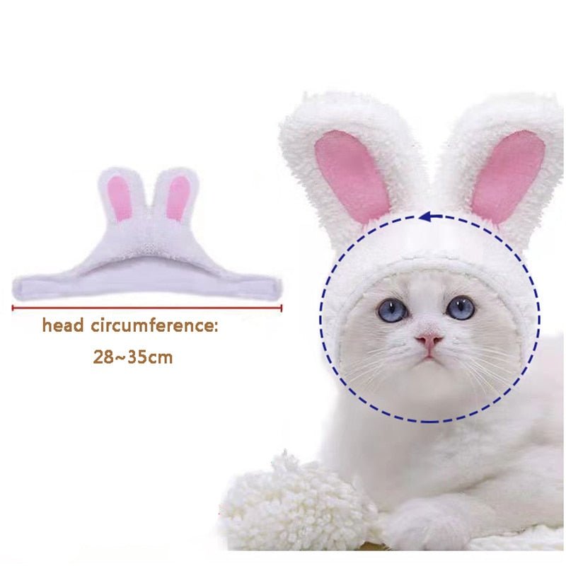 Bunny Ears for Cats - YourCatNeeds