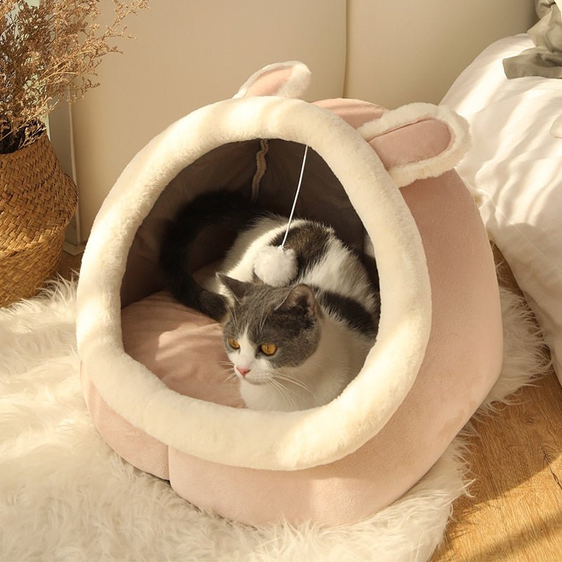 Cozy Cat Themed Beds - YourCatNeeds