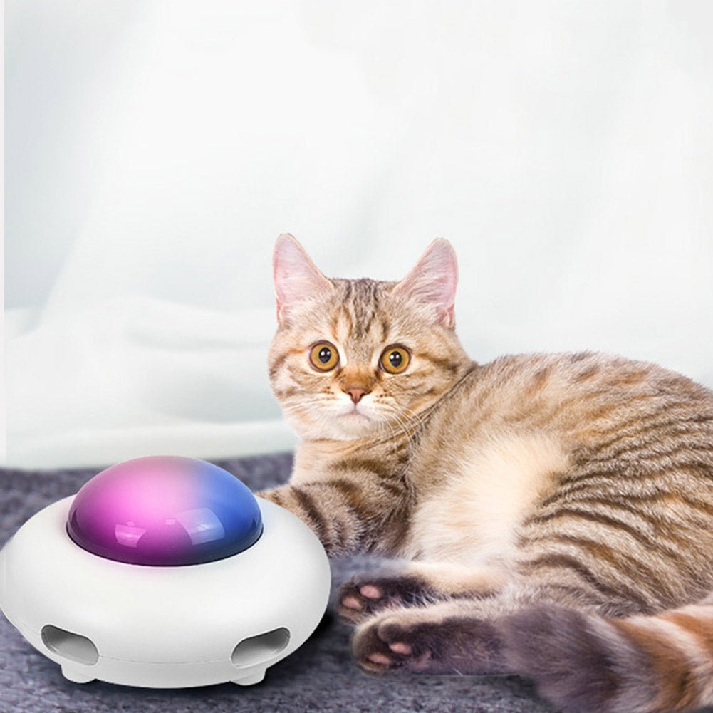 Hide'n'Seek-UFO Cat Toy - YourCatNeeds