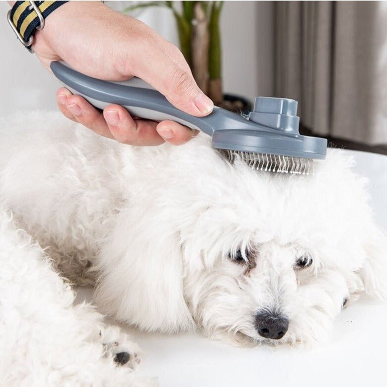 Self Cleaning Dog Brush - YourCatNeeds