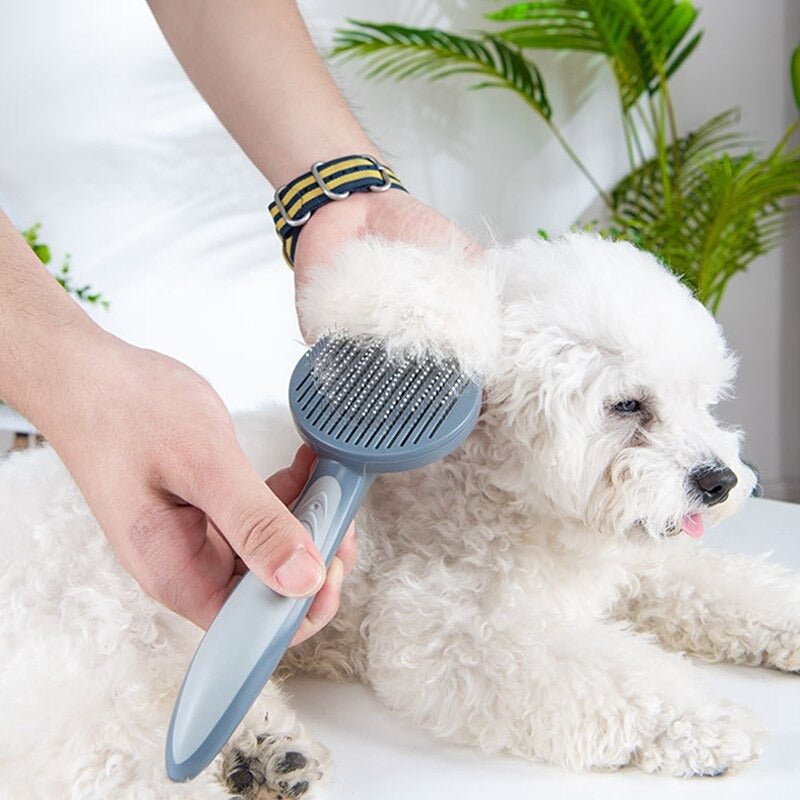 Self Cleaning Dog Brush - YourCatNeeds