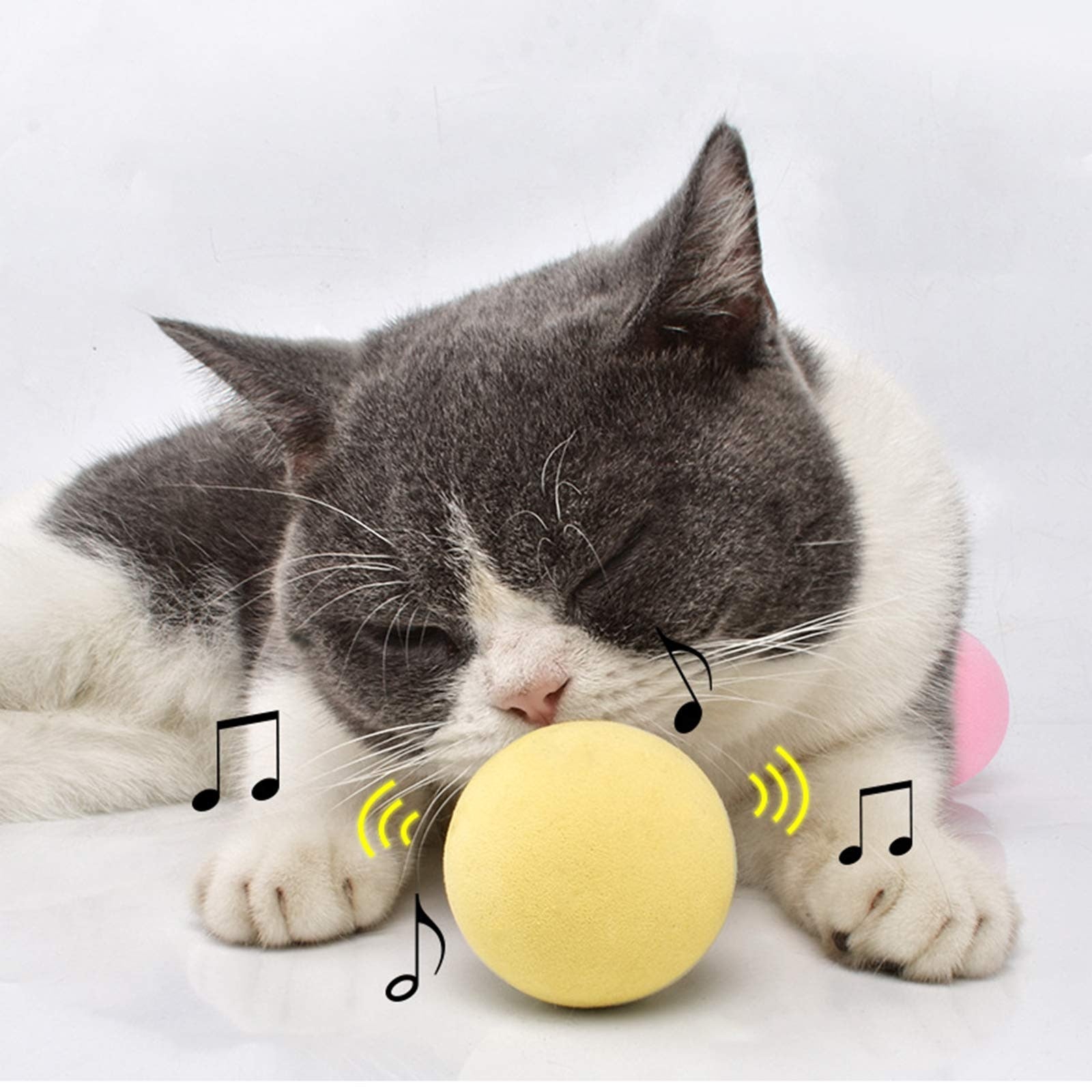 Smart Interactive Cat Toy Ball - YourCatNeeds