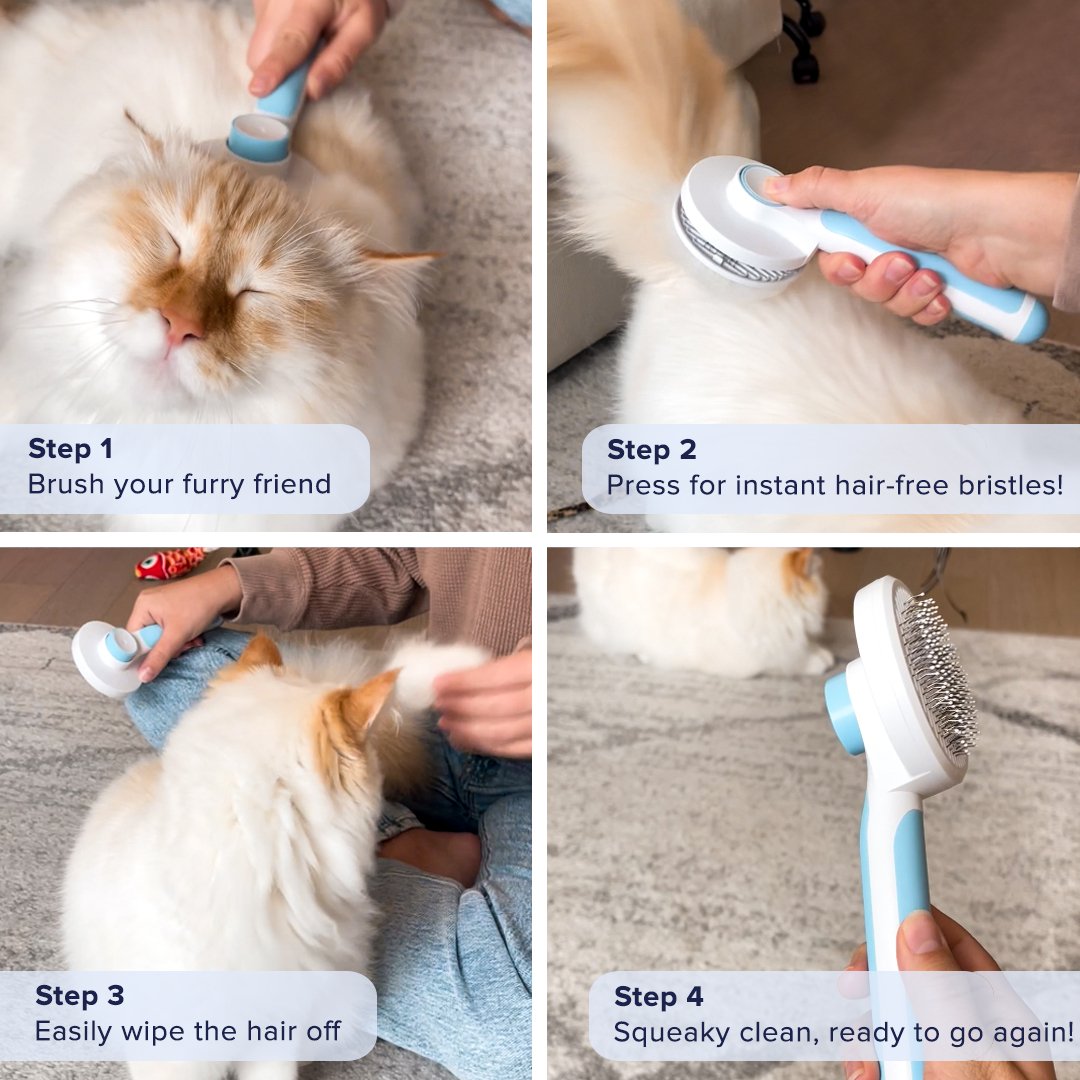 The #1 Self-Cleaning Cat & Pet Brush - YourCatNeeds